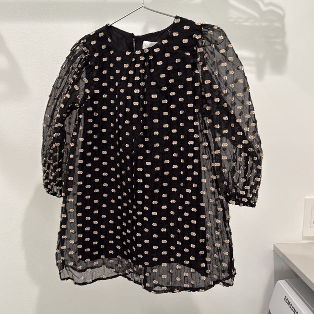 Zara organza like dress, see through sleeve and gold threading size 3-4